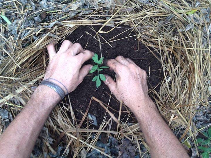 Farmer'S Yard Hostel Canggu Εξωτερικό φωτογραφία