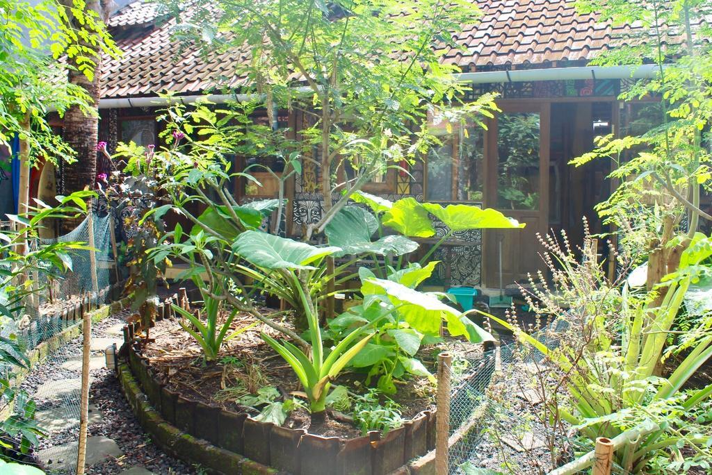 Farmer'S Yard Hostel Canggu Εξωτερικό φωτογραφία